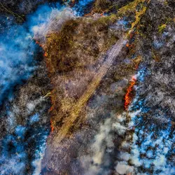 March 2020 (Shaker Village of Plesant Hill)